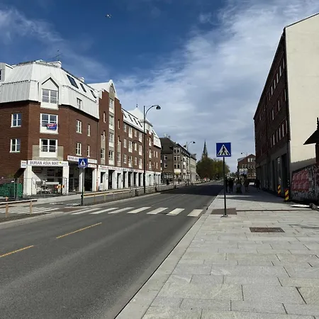 Lejlighed And Newly Renovated Near Solsiden